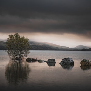 Könnte beinhalten: Ein einzelner Baum steht in einem stillen See mit einem dunklen, bewölkten Himmel darüber. Der Baum spiegelt sich im Wasser. Fünf große Steine sind teilweise im Wasser versunken und bilden einen Weg zum Baum.