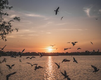 Priory Marina Country Park at sunset canvas print