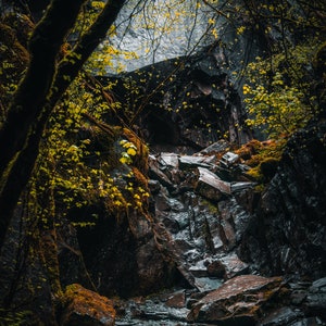 Könnte beinhalten: Ein felsiger Bach fließt durch einen üppigen grünen Wald. Das Wasser stürzt über mit Moos bedeckte Felsen und erzeugt eine ruhige und natürliche Szene.