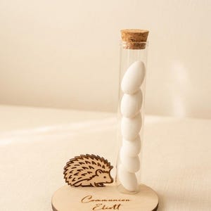 Peut inclure: Un tube en verre transparent rempli de bonbons blancs, fermé par un bouchon en liège, posé sur une base en bois. Une figurine de hérisson en bois est à côté du tube. La base porte l'inscription "Communion, Elliott, 19/04/2026".
