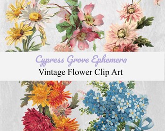 Floral Vintage Clip Art Collection - Printable Antique Flower Illustrations, Retro Botanical Graphics, Victorian PNG Digital Images