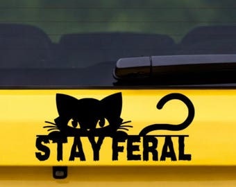 Stay Feral Cat Decal: Funny Peeking Cat Vinyl Sticker