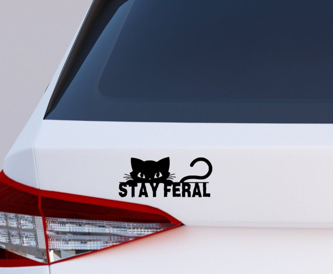 Stay Feral Cat Decal: Funny Peeking Cat Vinyl Sticker - Etsy