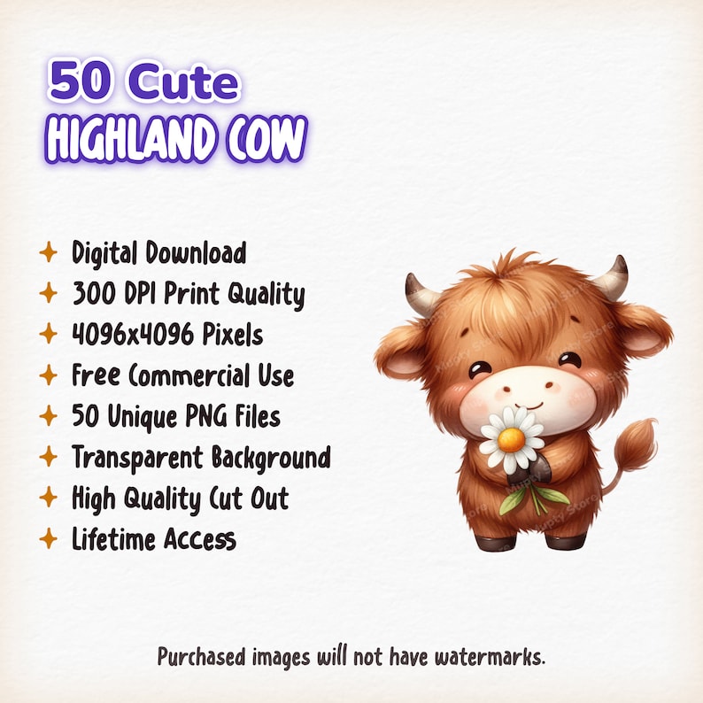 Söt höglandsko Clipart-paket, 50 baby höglandsko PNG, utskrivbara ko, babydjur Clipart, gårdsdjur png, akvarell höglandsko bild 8