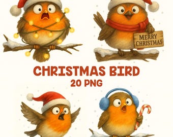 Clipart de petirrojo navideño en acuarela, paquete PNG de pájaro festivo (descarga digital)