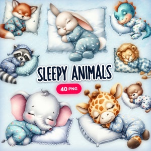 Imágenes prediseñadas de animales lindos soñolientos, animales lindos de acuarela, 40 animales bebés soñolientos PNG, imágenes prediseñadas de animales de guardería imprimibles, lindos animales bebés PNG