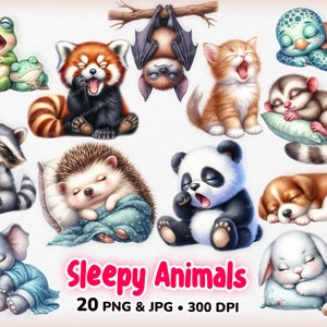 Aquarel slaperige dieren clipart, schattige dieren clipart, aquarel dieren, slaperige kawaii dieren, aquarel schattige dieren, png clipart
