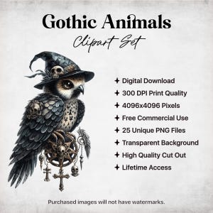Pu&ograve; includere: Un set di clipart digitale che presenta un'illustrazione in stile gotico di un gufo bianco e nero con un cappello da strega. Il gufo &egrave; appollaiato su un oggetto circolare, ornato, di metallo con teschi e ossa incrociate. L'immagine ha uno sfondo grunge e un testo che dice "Gothic Animals Clipart Set".
