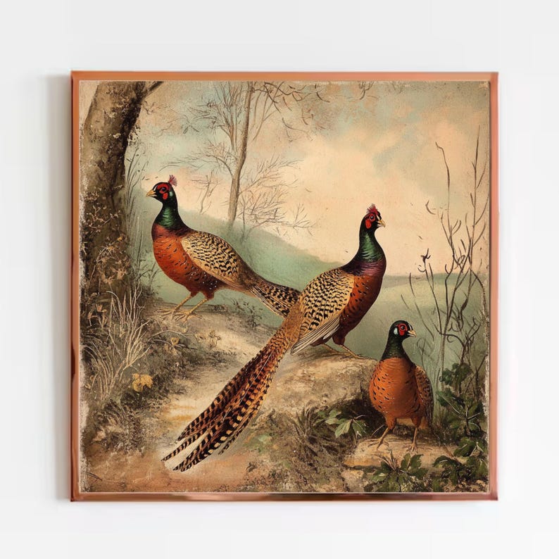 Vintage Pheasant Wildlife Hunter Cabin Decor Print, Fall Accent, Rustic Farmhouse Style, Pheasant Art, Matte Wall Art