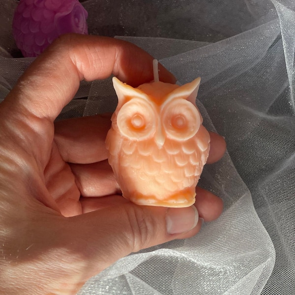 Little Hoots Owl Candle. Baby shower party favor. Gift for a teacher. Gift for a grandparent.
