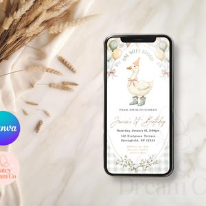 Puede incluir: Una invitaci&oacute;n digital para una fiesta de primer cumplea&ntilde;os con un lindo dibujo animado de un ganso con un gorro de fiesta y botas. La invitaci&oacute;n tiene un fondo de cuadros vichy blanco y verde con un borde floral. El texto de la invitaci&oacute;n dice "One Silly Goose!" y "Janice's 1st Birthday".