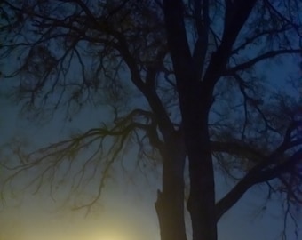 Moon In Misty Night, Color Photo, Fine Art Photography, Giclee Print
