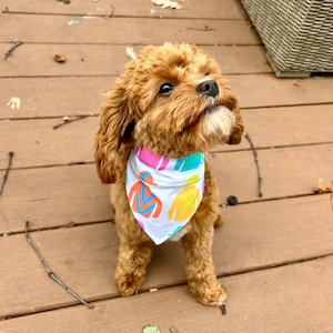 Jockey Silks Derby Dog Bandana * Kentucky Dog Bandana * Horse Dog Bandana