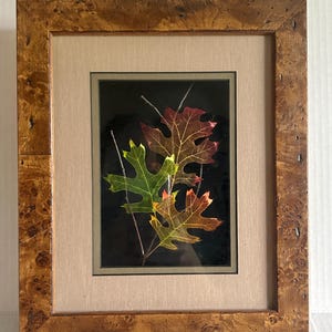 Può includere: Un'opera d'arte incorniciata con foglie autunnali colorate. Le foglie, in tonalità di verde, giallo e rosso, sono poste su uno sfondo nero. La cornice in legno naturale aggiunge fascino rustico all'opera.