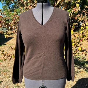 Y2K Charter Club Two Ply Cashmere Sweater, Classic Brown V Neck Sweater, Wardrobe Staple! Size L -NWT