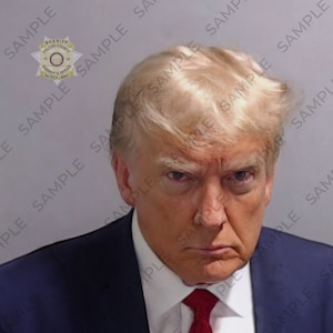 President Trump Mugshot (Enhanced, High Resolution) for Prints T-Shirts Apparel