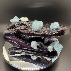 May include: A black alligator skull with a purple tint, decorated with light blue crystals. The skull is sitting on a black circular stand with a mirrored surface.
