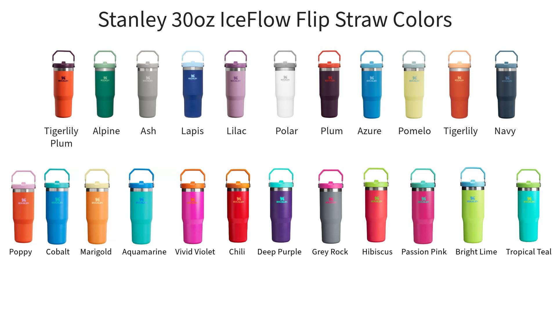 Bookshelf Tumbler: Cozy Library Design for Book Lovers - Etsy