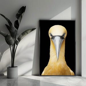 Poster di sule, poster di uccelli, poster di animali, poster di ritratti, poster di animali selvatici, arte murale per l'arredamento della casa | 4709 | Regalo per lui - Senza cornice