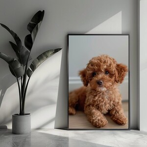 Bruine Poedel Poster Puppy Poster Dieren Poster Kinderposter Wall Art For Home Decor | 3554YR | Gift For Him - No Frame