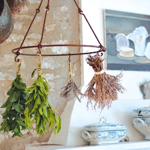 May include: A wrought-iron herb drying rack with four bunches of herbs suspended from it. The herbs include mint, bay leaves, and lavender. The rack hangs in front of a stone wall, with a painting in the background.