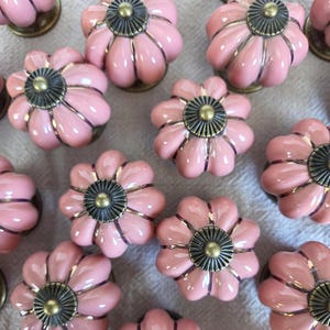 May include: A collection of pumpkin-shaped cabinet knobs featuring a glossy light pink ceramic finish with vertical ridges. Each knob is topped with an antique brass-toned metal cap that has a circular, ribbed design and a central brass stud.
