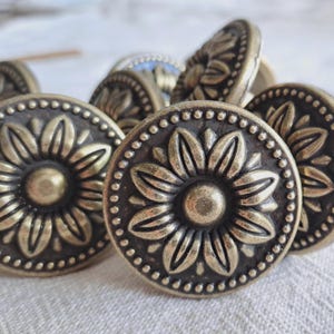 May include: Close-up of several antique brass-coloured cabinet knobs. Each knob features a detailed floral design with a central bud and surrounding petals, encircled by a dotted border. The knobs are round and have a vintage aesthetic.
