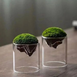 Mountain Shaped Moss Vase