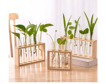 Wooden Glass Test Tube Flower Vases