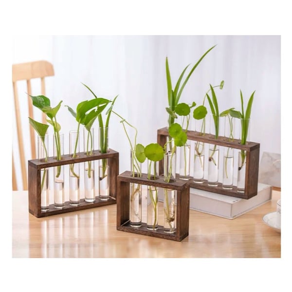 Wooden Glass Test Tube Flower Vases