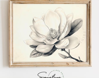 Printable Single Magnolia Flower Sketch - Elegant Floral Art, Magnolia Bloom Illustration, Flower Wall Decor, Botanical Sketch Print | 914