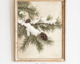 Besneeuwde dennentak met dennenappels - vintage winterbotanische kunst, rustiek Cottagecore-natuurdecor, kerstmuurafdruk, digitaal schilderen 2140