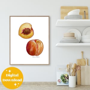 Peaches Watercolor Painting: Foodie Wall Art, Kitchen Decor, Modern Fresh Fruit Poster, Instant Digital Download