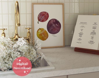 Plums Watercolor Print: Realistic Fruit Kitchen Art Digital File (Instant Download)