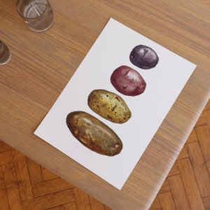 Potato Varieties Watercolor Painting: Kitchen or Garden Print, Heirloom Spud Style, Foodie Wall Art Poster