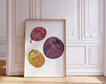 Plums Watercolor Painting: Kitchen Art Fruit Poster (Multiple Size & Finish Options)