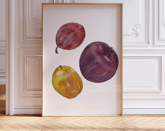 Plums Watercolor Painting: Kitchen Art Fruit Poster (Multiple Size & Finish Options)
