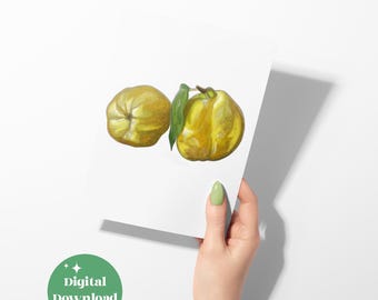 Pears Watercolour Print: Kitchen Art or Botanical Illustration Digital File (Instant Download)