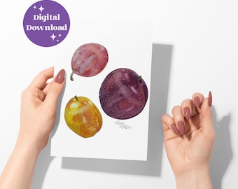 Plums Watercolor Print: Realistic Fruit Kitchen Art Digital File (Instant Download)