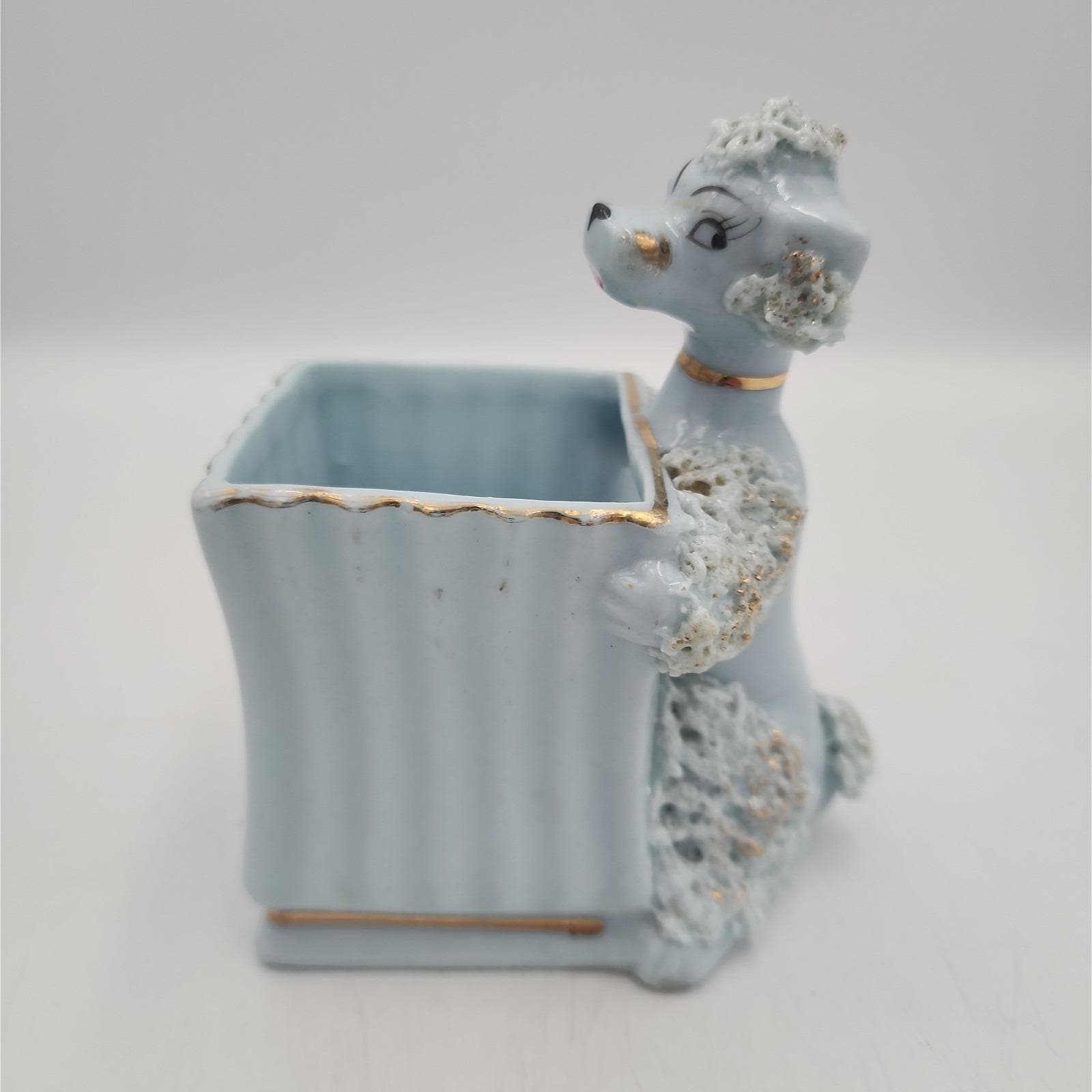 Blue Spaghetti Poodle - Etsy