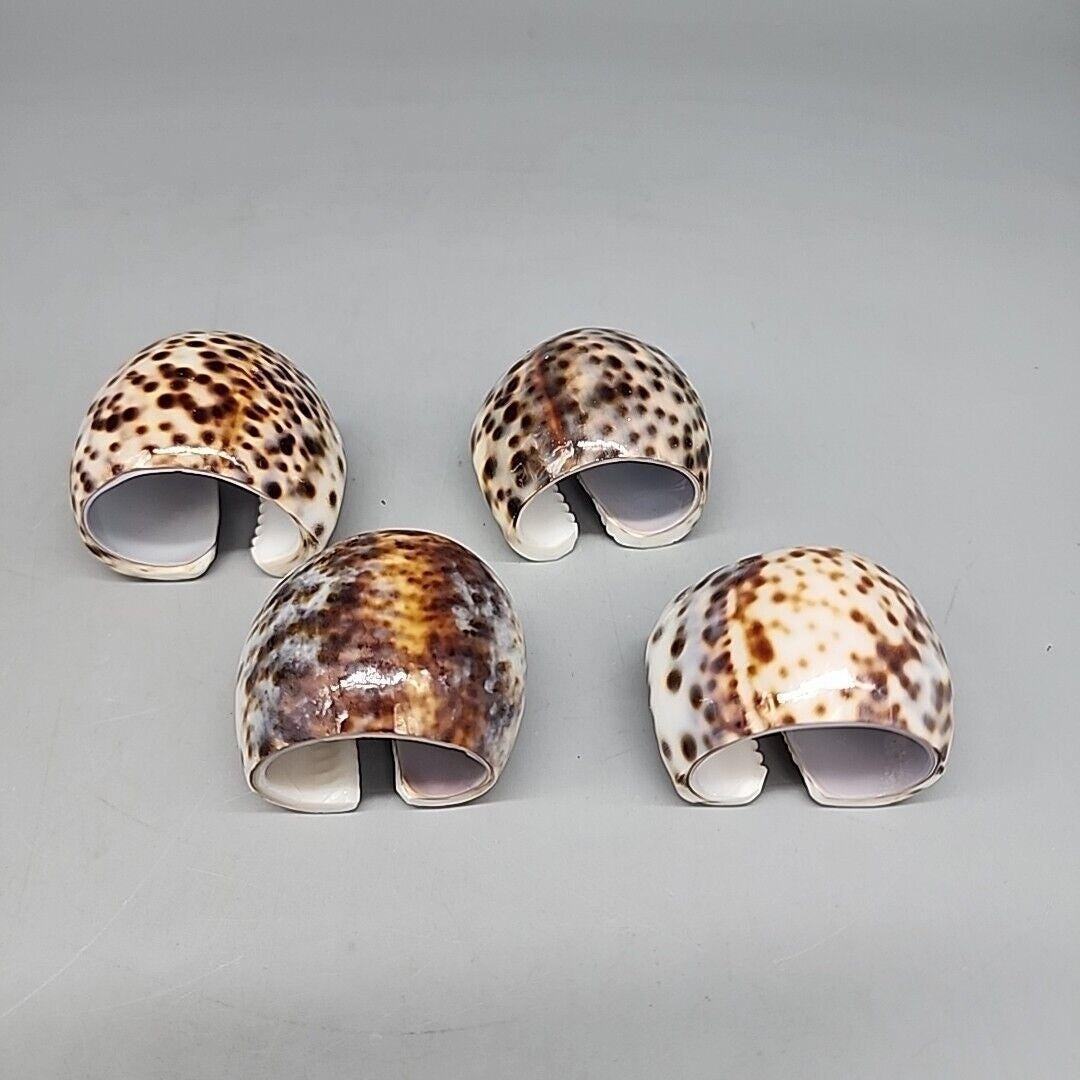 Vintage Tiger Cowrie Shell Napkin Rings Set of 4 Mid Century Modern ...