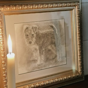 Vintage etched Print of Terrier dog in gold ornate frame