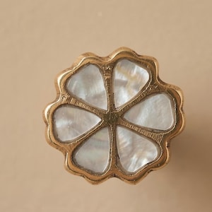 Brass and Mother of Pearl Flower Knob