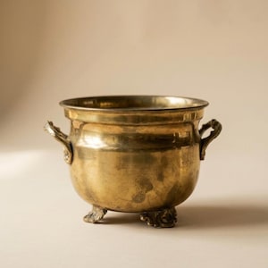 Vintage Brass Jardiniere small size Planter with Handles – Indoor Cachepot