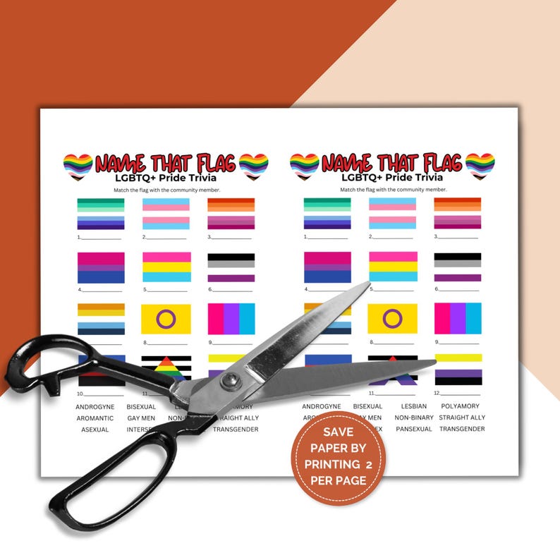 Printable LGBTQ Pride Flags Matching Trivia Game, Pub Trivia Night ...
