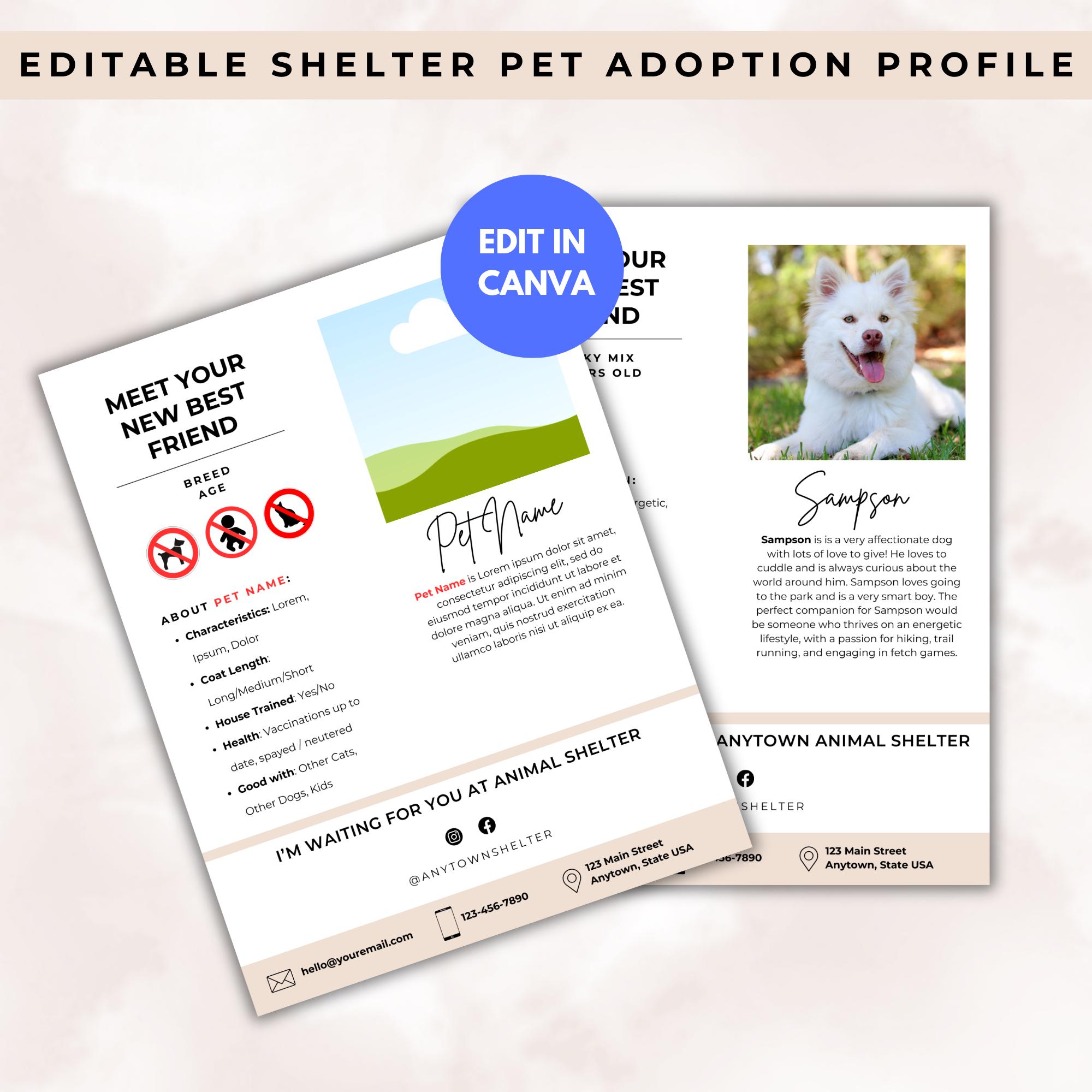 Dog Shelter Cards