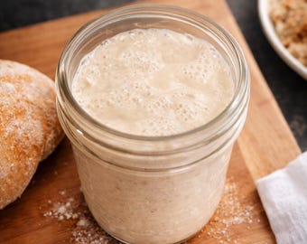 Live Sourdough Starter – Simple Bread Starter for Slow Living Kitchens