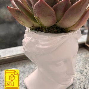 3d printable planter, 3d printable pencil holder, Flower pot stl, Pencil holder stl, Plant pot stl, Planter stl