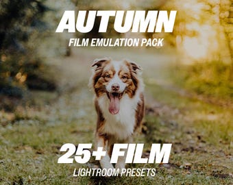 秋のフィルム風Lightroomプリセット – 25種類以上のフィルムエミュレーションプリセット（モバイル＆デスクトップ対応、ビンテージカラー、フィルム風美学、レトロフィルター）