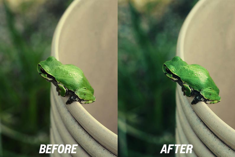 Puede incluir: Una rana verde brillante posada en el borde de una maceta color crema. La imagen est&aacute; dividida, con el texto "ANTES" a la izquierda y "DESPU&Eacute;S" a la derecha, mostrando un ajuste de color. Se ve un fondo borroso de follaje verde.